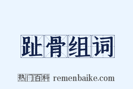 趾骨组词是什么意思的图片